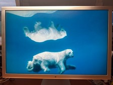 Apple Cinema Display 30" - A1083 - AD196