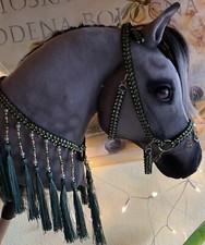 Araber -Showhalfter-Set Hobby