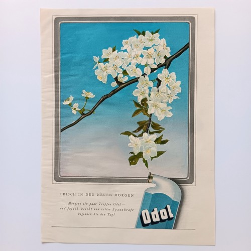 1940 odol mundwasser - xl,