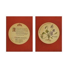 Meckatzer Löwenbräu