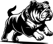 ENGLISCHE BULLDOGGE Aufkleber
