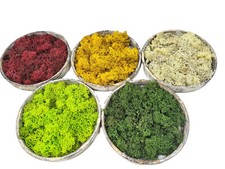 50 gr Islandmoos Naturmoos