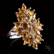 Harry Ivens IV Citrin