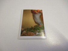 Disney Was ist Was - Abenteuer