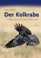 Der kolkrabe schwarze - der,