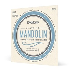 D'Addario EJ73 Mandola