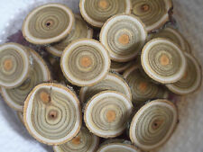 15 x Holzscheiben Astscheiben