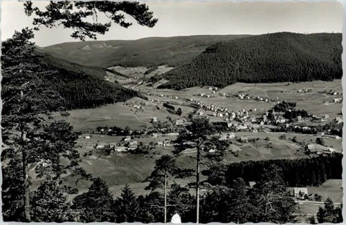 Mitteltal - ,
