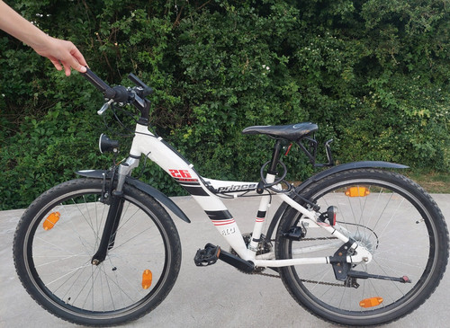 Das fahrrad prince wild - prince, heater