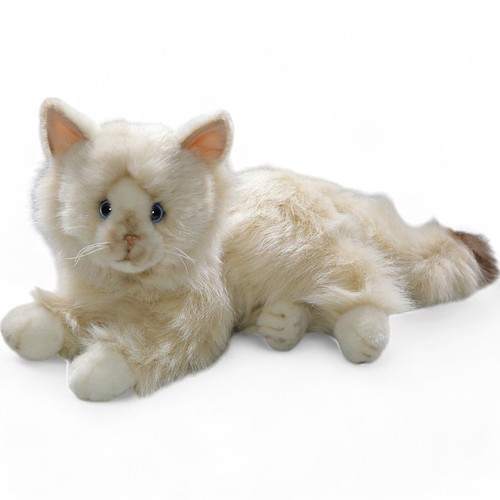 Carl dick katze - carl,