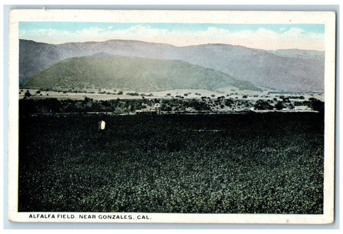 C1950 alfalfa field - alfalfa, building