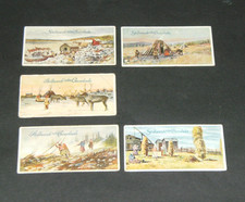 Stollwerck Album Nr.3 Gruppe 116 Bild 1,2,3,5,6. Bilder aus Lappland