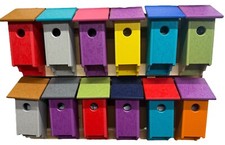 Blue bird Bird house