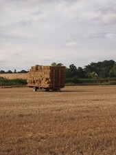 Foto A2 Stroh für die Pferde