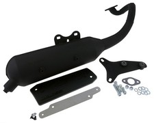 Auspuff MALOSSI Wild Lion