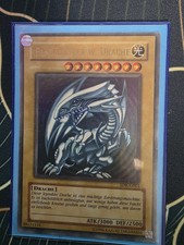 Blauäugiger W. Drache 1996