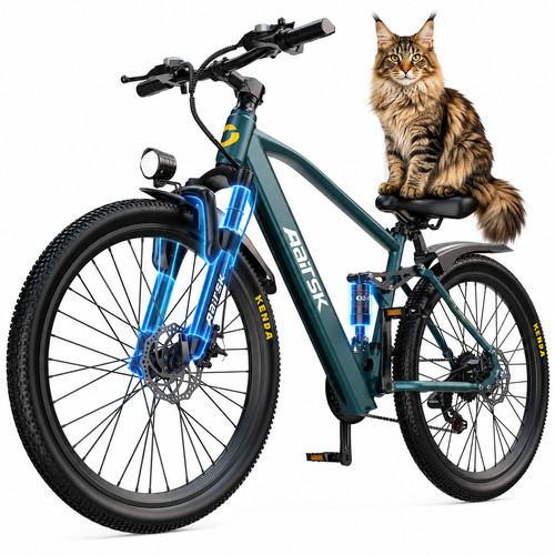 Zoll elektrofahrrad - 26,