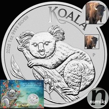 KOALA 2025 BISON Privy im