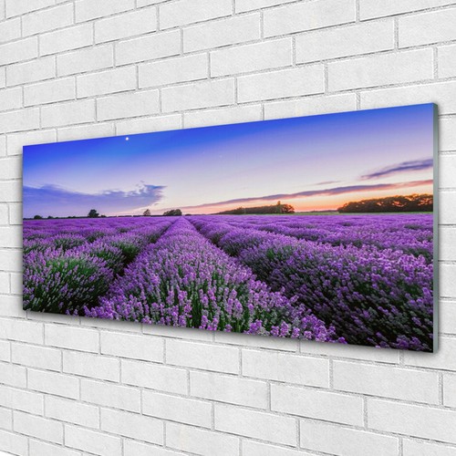 Glasbilder wandbild druck auf - druck,