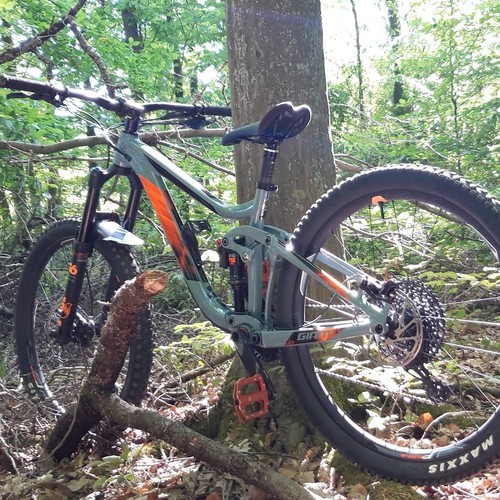 Giant reign ltd enduro - giant, 1.5