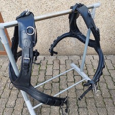 Zweispänner Marathon Kummte Pony 