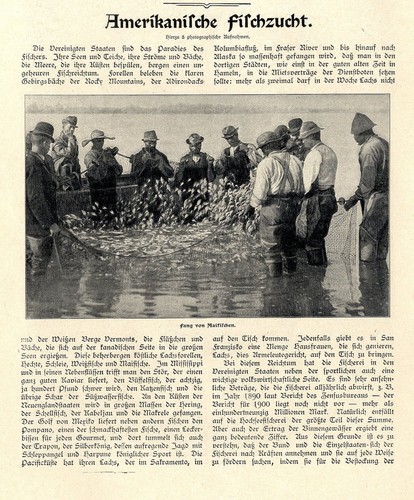 Amerikanische fischzucht - amerikanische,