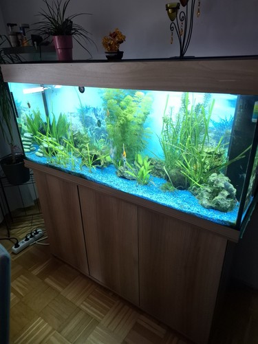 Juwel aquarium rechteckig - juwel,