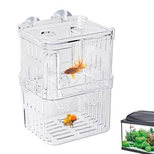 Aquarium-Fischtank-Aufzucht-Z?