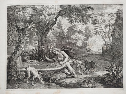 Narzissus ovid mythologie - -,