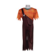 Disney at George, Verkleidung