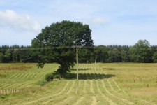 Foto 6x4 Gemähtes Gras St