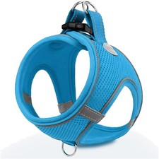 Hundegeschirr Kleine Hunde