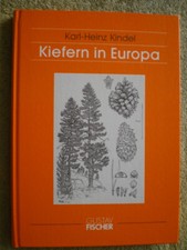 Kiefern in Europa -