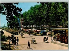 52230302 - Cavallino Camping