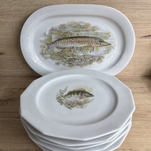 Winterling nirchenlomitz fisch - winterling,