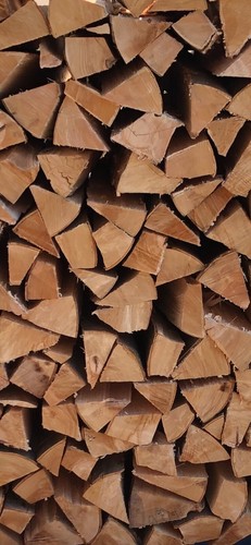 Brennholz kaminholz buchenholz - brennholz,