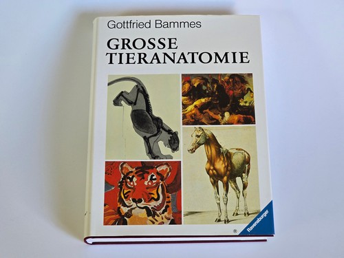 Die grosse tieranatomie - grosse,