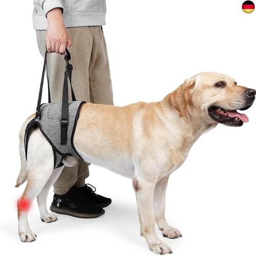 Tragegeschirr hund - tragegeschirr,