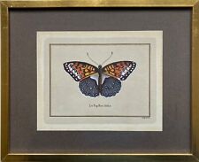 Kolorierte Lithografien Pietro Scattaglia Schmetterling le Papillon Idalie