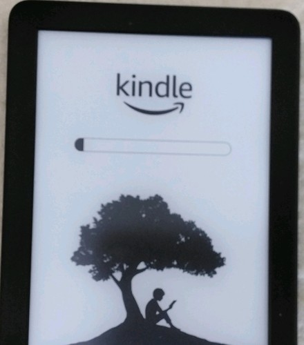 Kindle ebook reader - ebook,