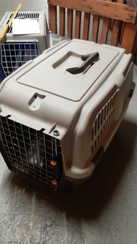 Transportbox für kleintiere - für,