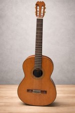 Matsuoka Ryoji Model No
