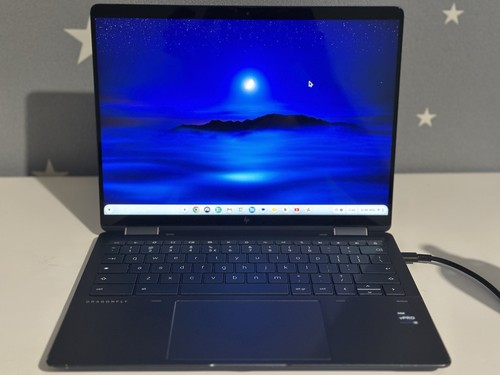Elite dragonfly chromebook - dragonfly,