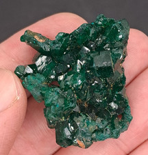 Dioptas Stufe, Kongo, 74 Karat, Neufund 2025