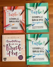 Farbe! Lettern mit dem Brush Pen Grundlagen Carla Kamphuis +2x Übungsbuch wieNEU