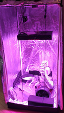 Marshydro Growpro box komplettset 80x80x120 320 Watt 120 LED, Lüfter u. Bew.