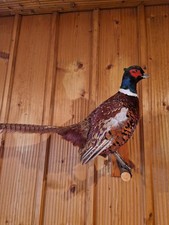 Ausgestopfter Präp. Fasan