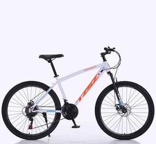 26 Zoll Mountainbike 21-Gang