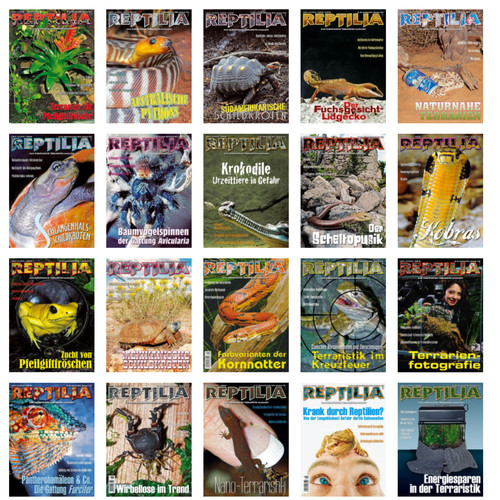 Reptilia verschiedene - reptilia, |