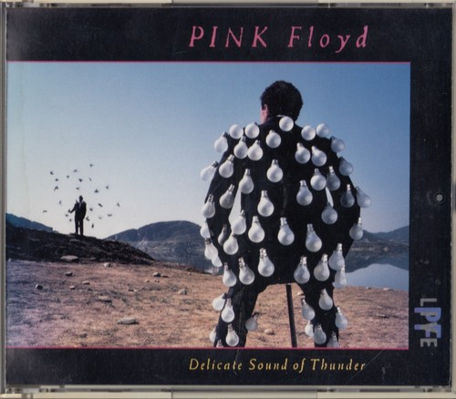 Pink floyd delicate sound - pink,